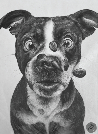 Dog with Biscuits in graphite pencil
